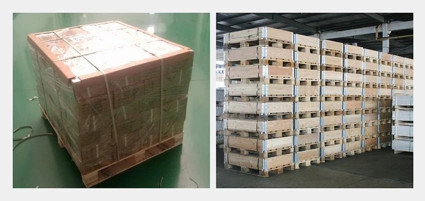 Hex Flange Head Self Tapping Screws Package