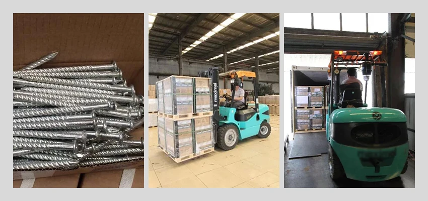 galvanized screw shank nails loading container