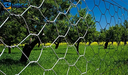 Grosir Wire Mesh Baja|Chain Link, Welded, Hexagonal, Gabion & Farm Mesh Untuk...